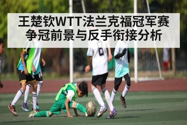 王楚钦WTT法兰克福冠军赛争冠前景与反手衔接分析